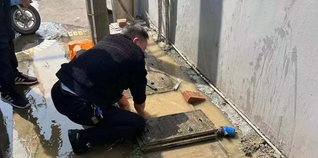 1712741461581016.jpg 1712741461581016.jpg