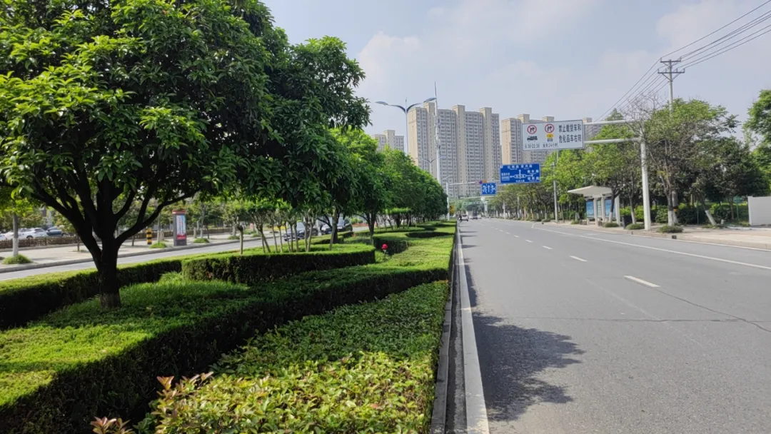 1714266972505732.jpg 1714266972505732.jpg