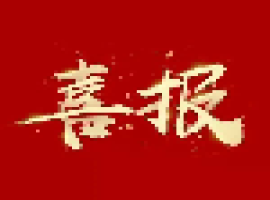 喜报 | 城发集团两家公司顺利通过ISO管理体系标准认证