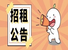 关于潜江市鼎新能源科技有限公司土地招租的公告